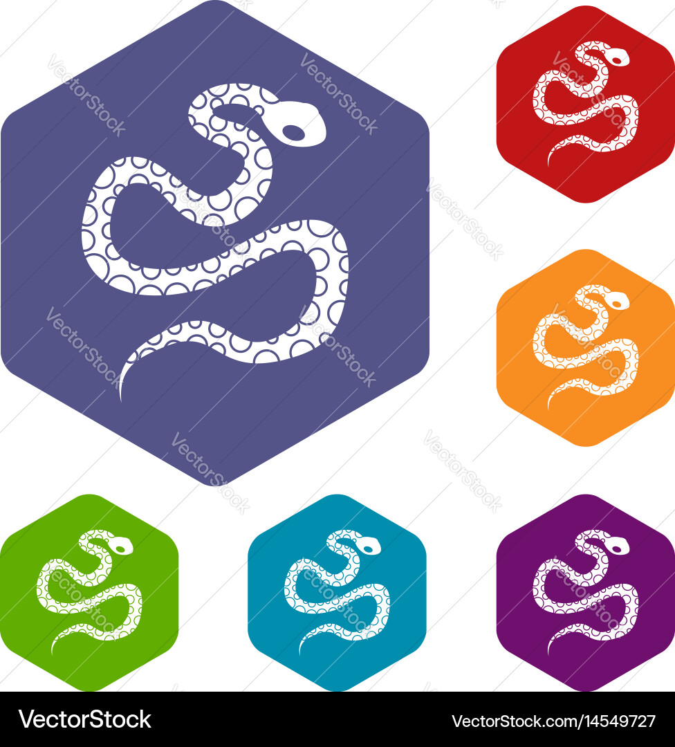 Python snake icons set hexagon Vector Image