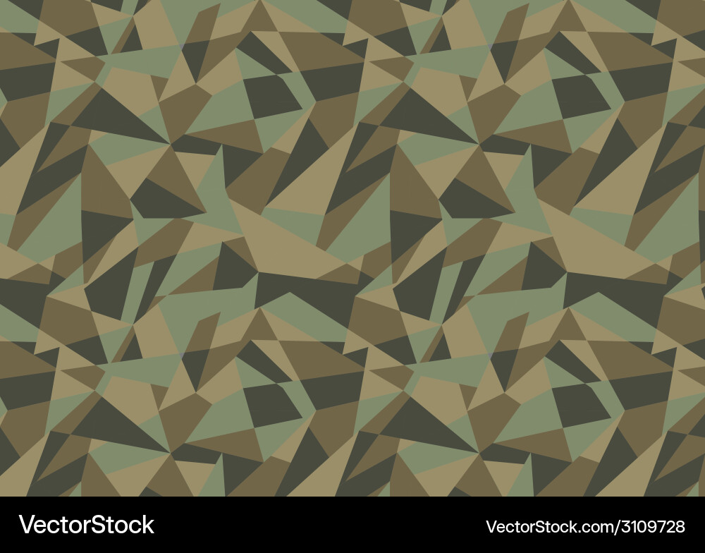 Geometric Polygon Camo Pattern vector image