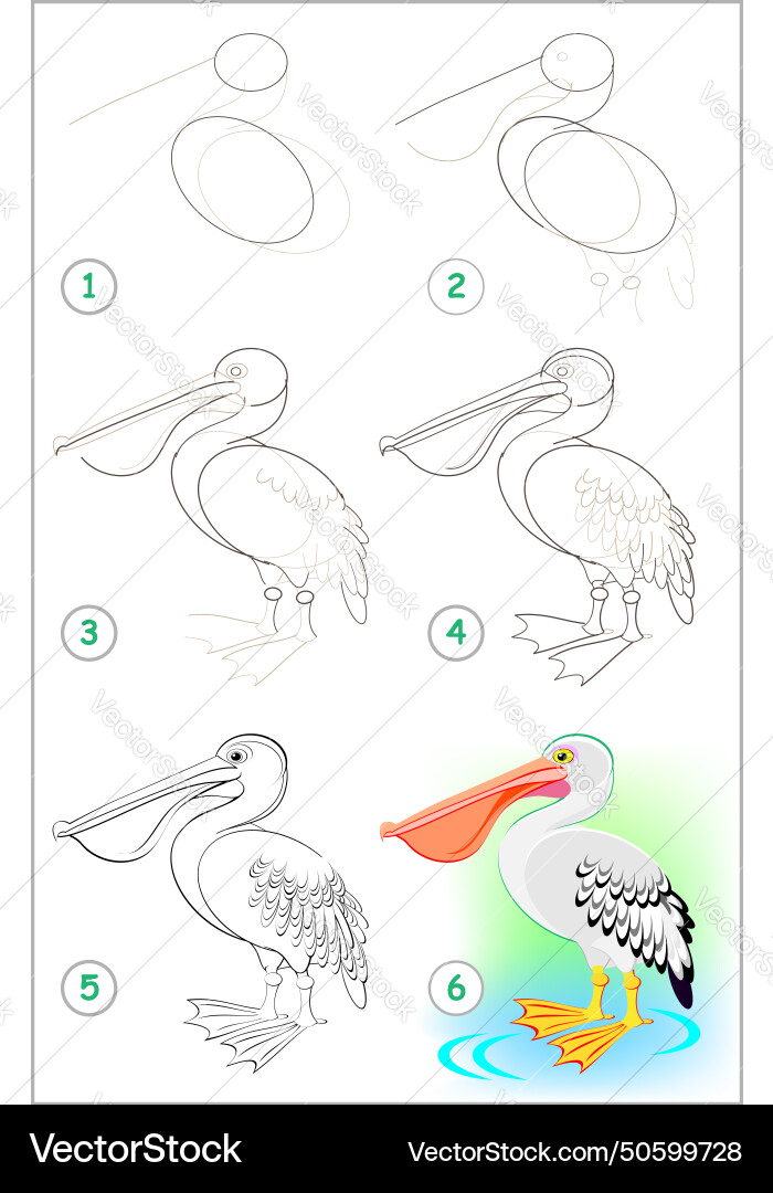 Page shows how to learn step by draw Page shows how to learn step by draw vector image