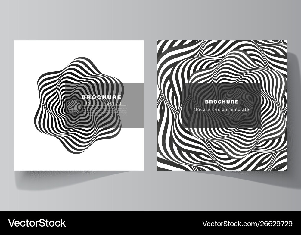 Minimal layout two square format Minimal layout two square format vector image