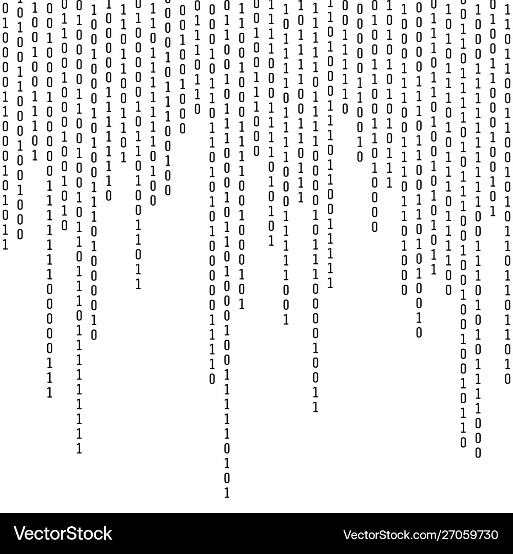 Binary Code Digital Network vector image