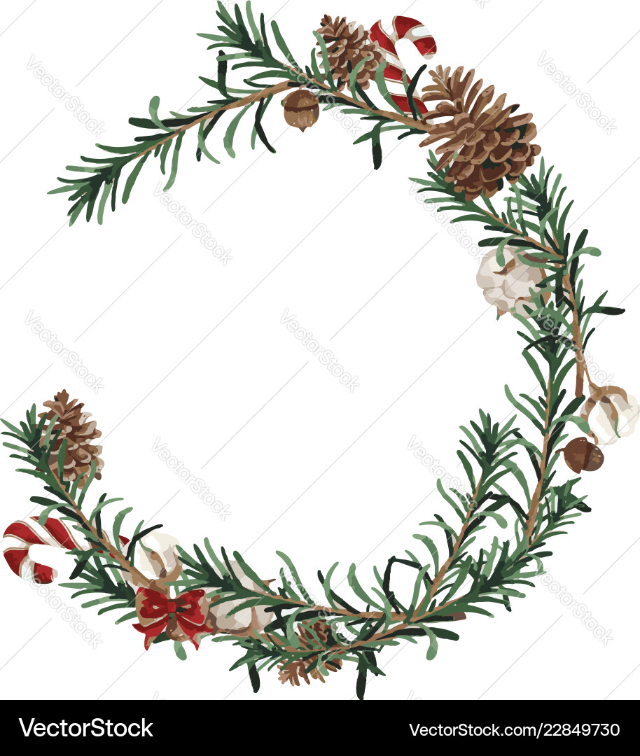 Wreath with pine branches and red berries cotton Wreath with pine branches and red berries cotton vector image