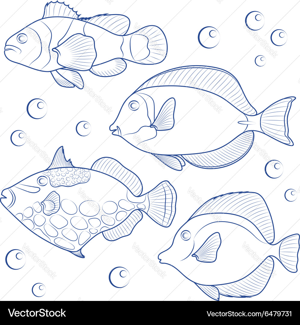 Collection of tropical reef fish Royalty Free Vector Image