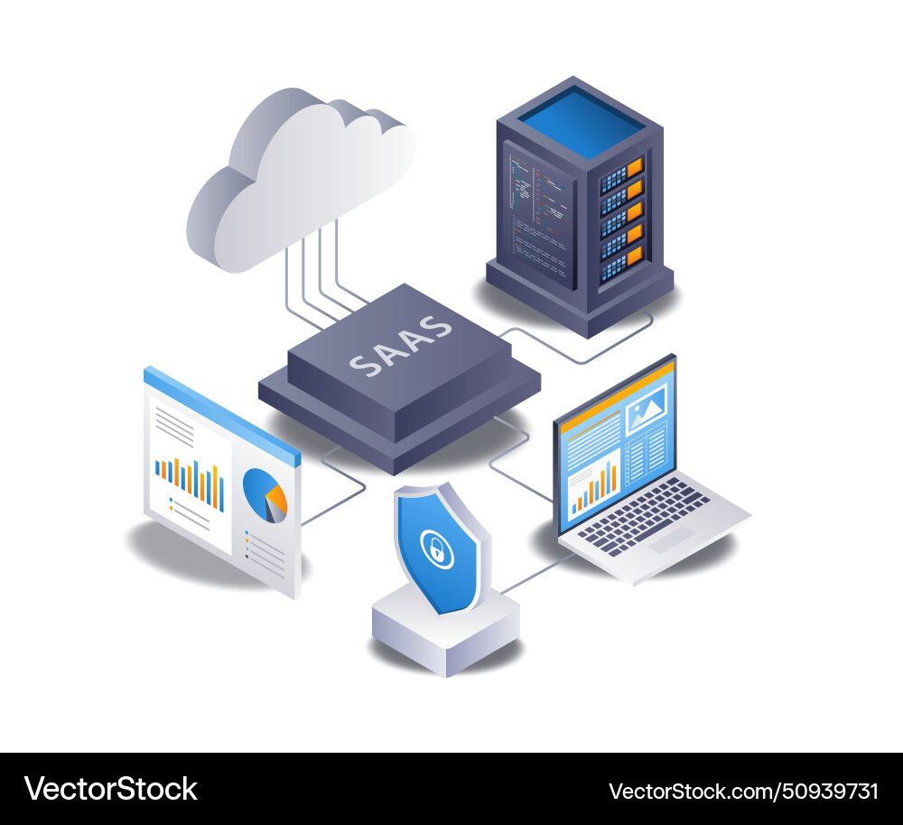Software as a service server developer flat Vector Image