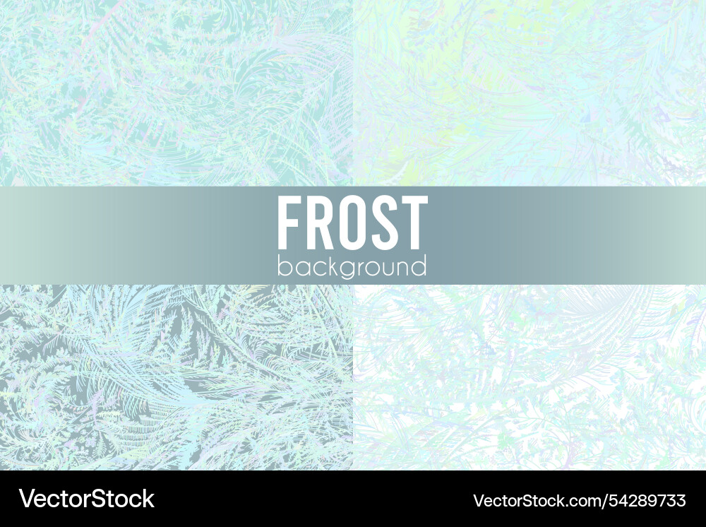 Frost window pattern winter background Vector Image
