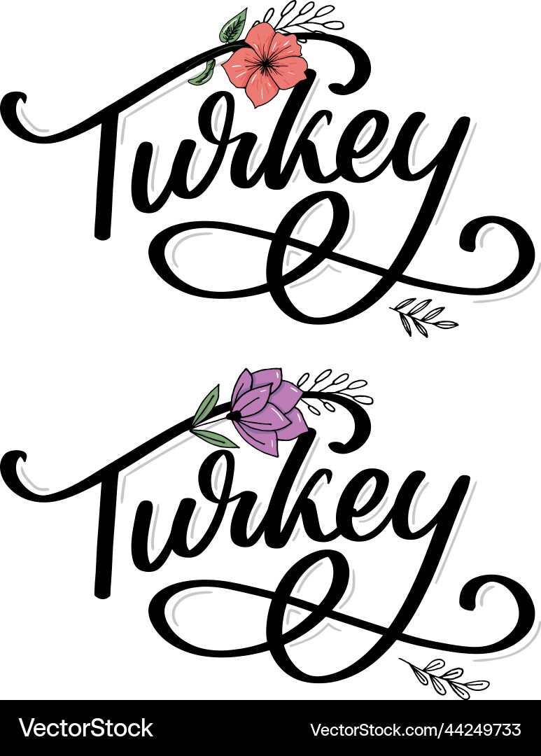 Turkey lettering handwritten name of the country Turkey lettering handwritten name of the country vector image