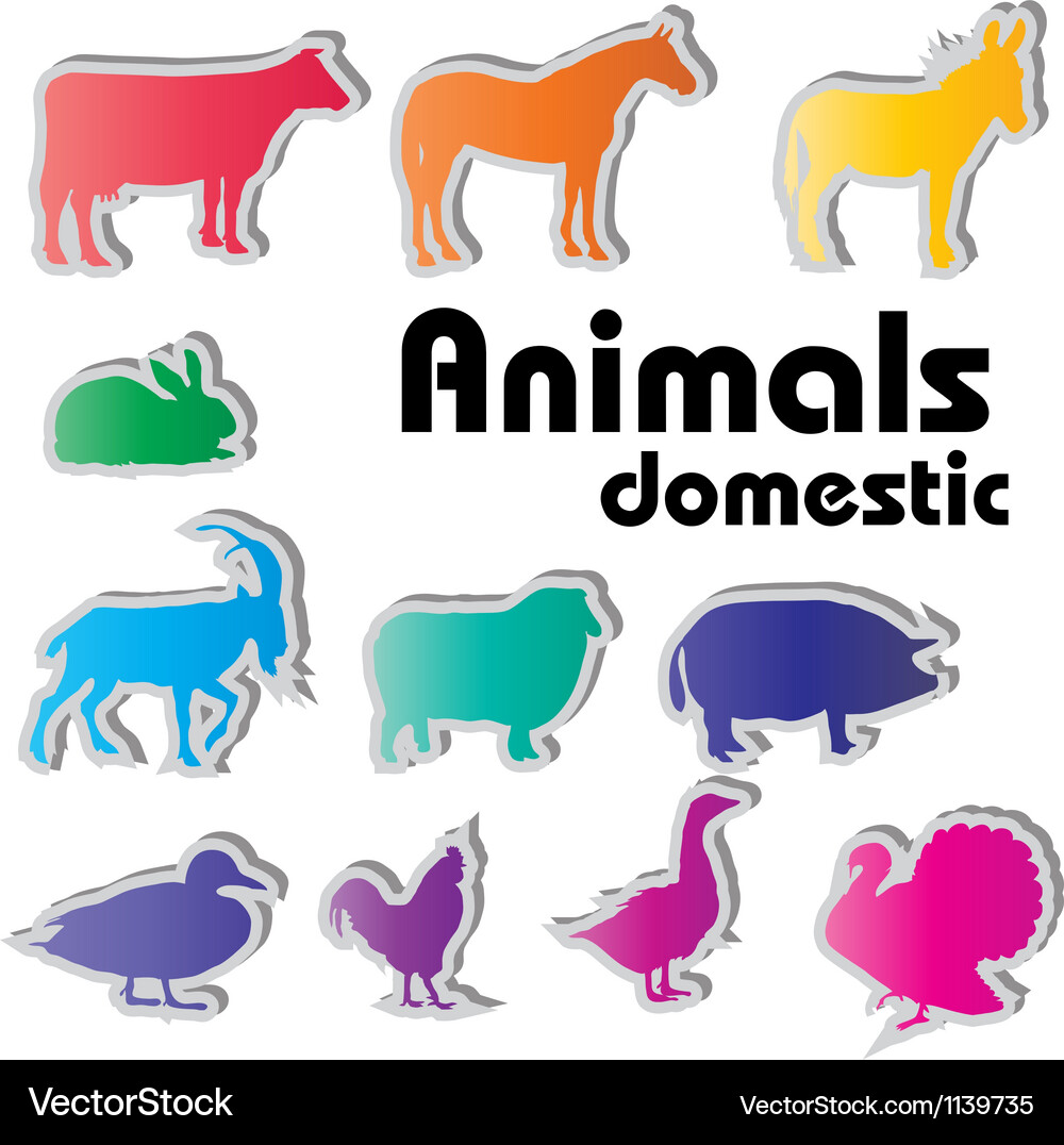 Domestic Animal Silhouettes Vector Image