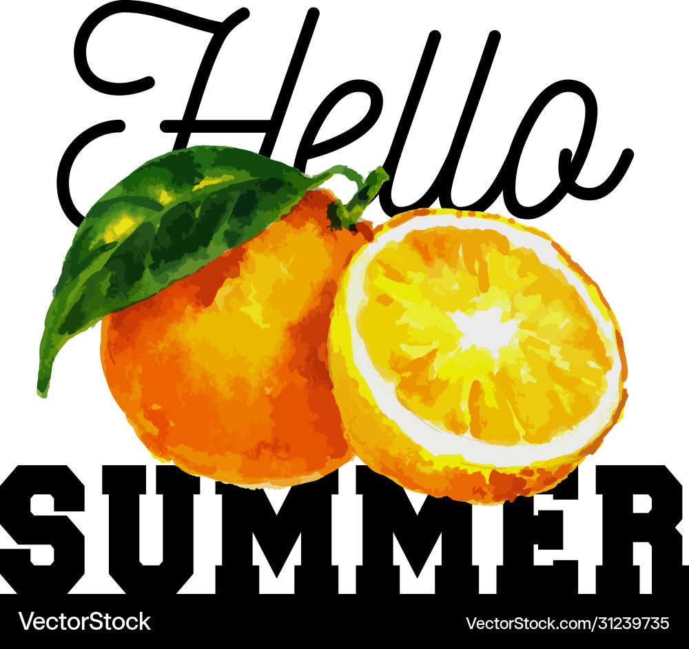 Hello summer slogan watercolor orange citrus Hello summer slogan watercolor orange citrus vector image