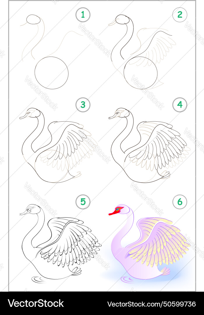 Page shows how to learn step by draw vector image