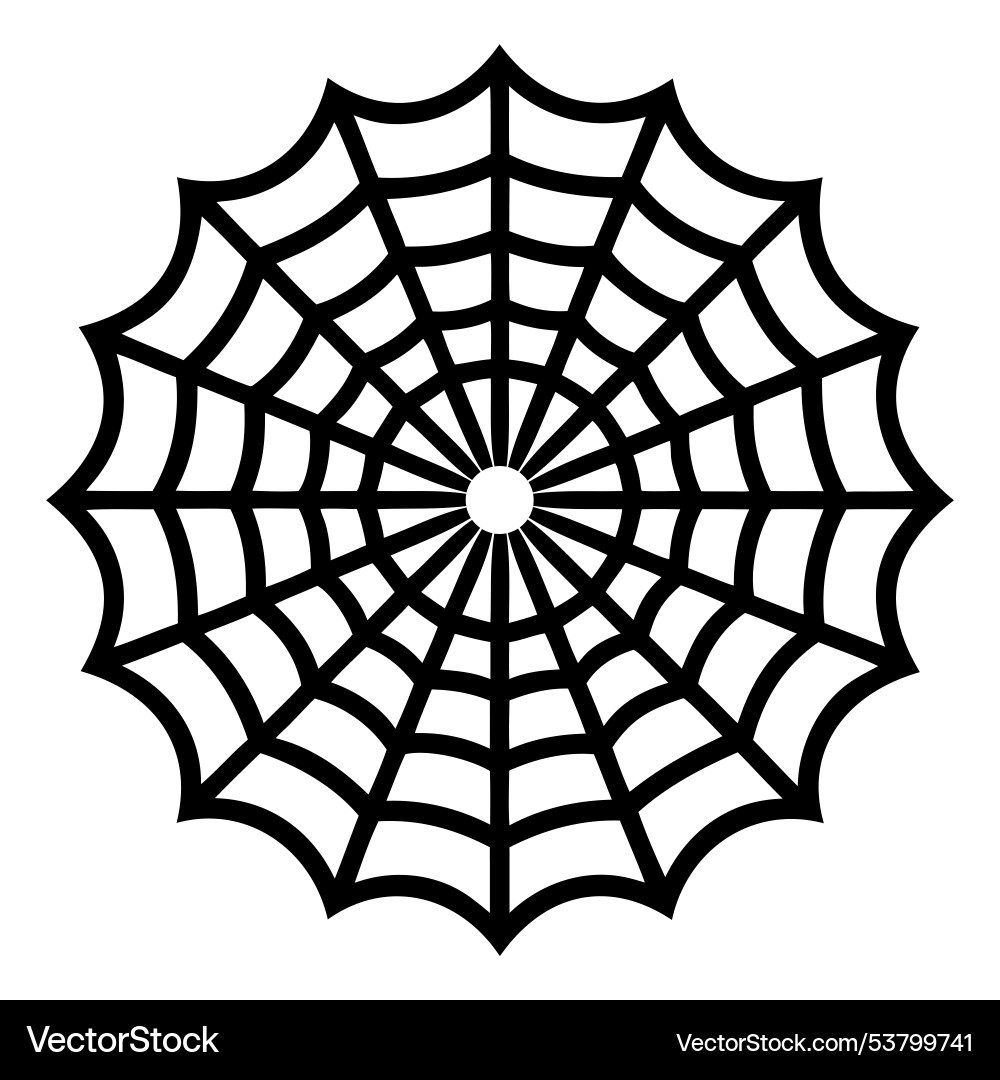 Symmetrical spider web design Vector Image