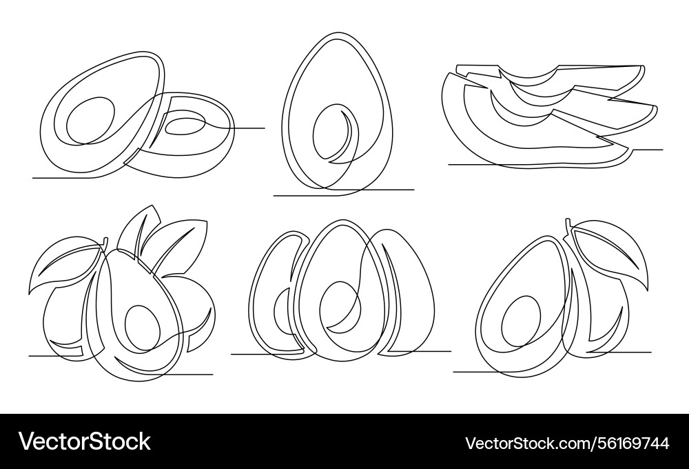 Avocado continuous one line drawing set Vector Image