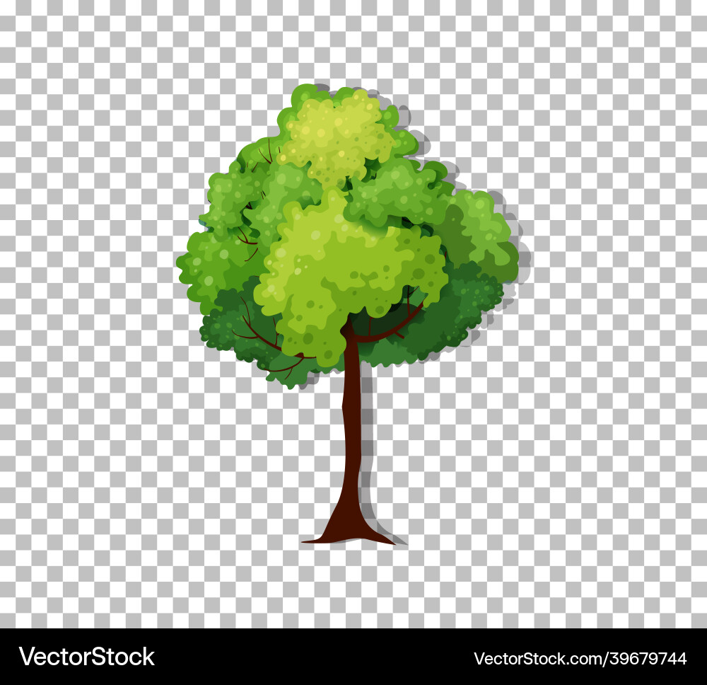 Tree on transparent background Vector Image