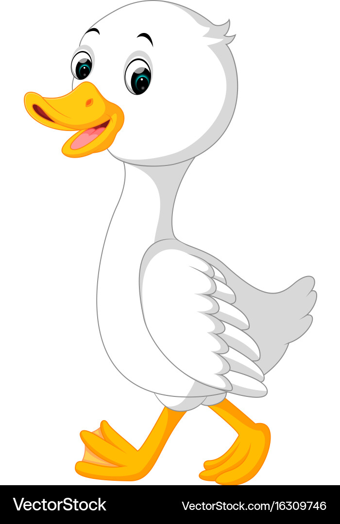 Duck cartoon Royalty Free Vector Image - VectorStock