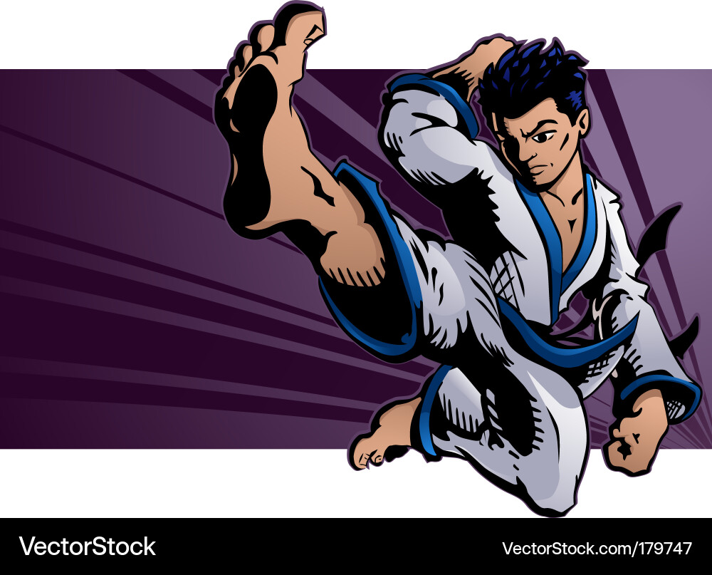 Dynamic Karate Kick Vector Image