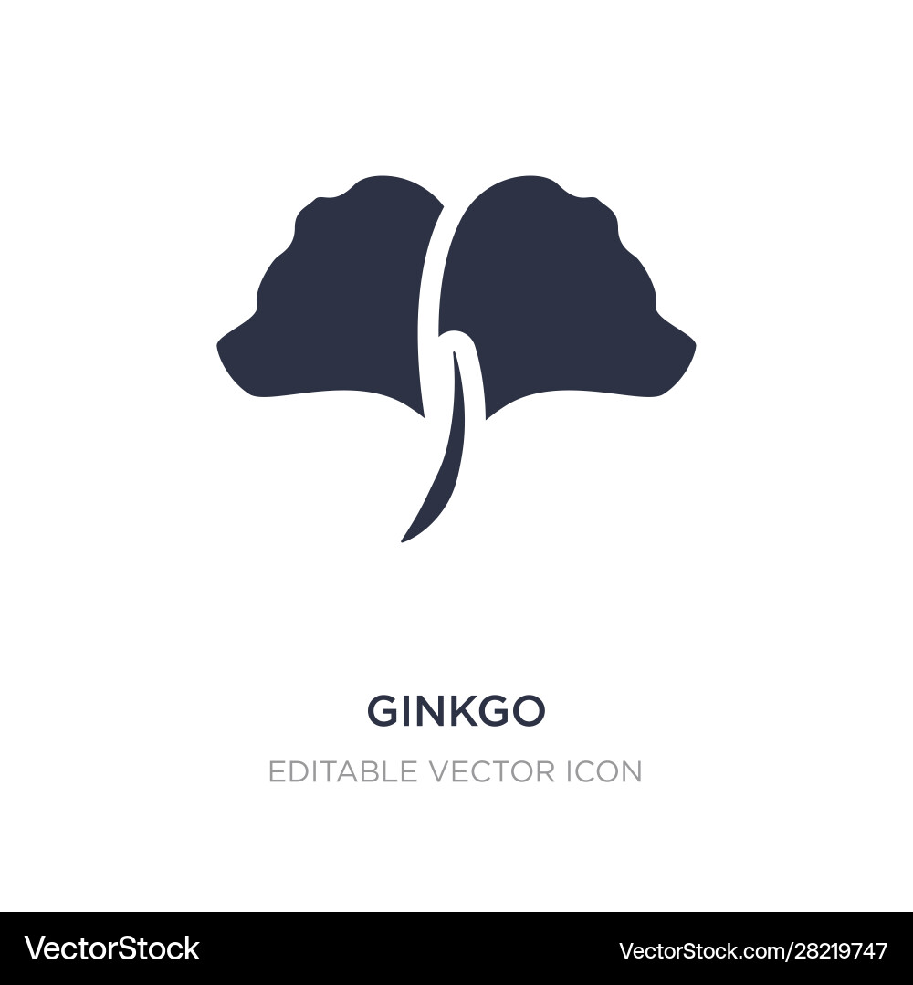 Ginkgo icon on white background simple element Ginkgo icon on white background simple element vector image