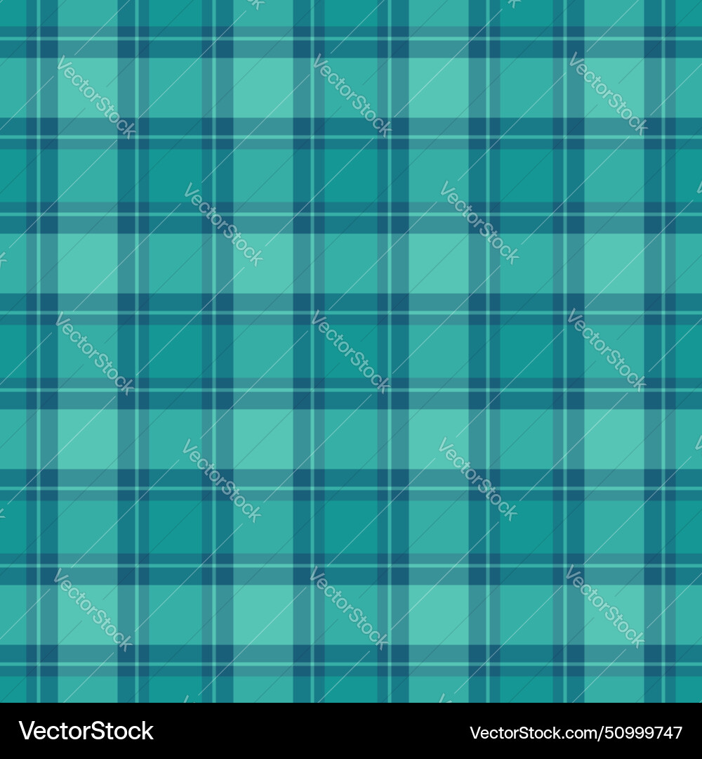 Pattern texture check of textile background Vector Image