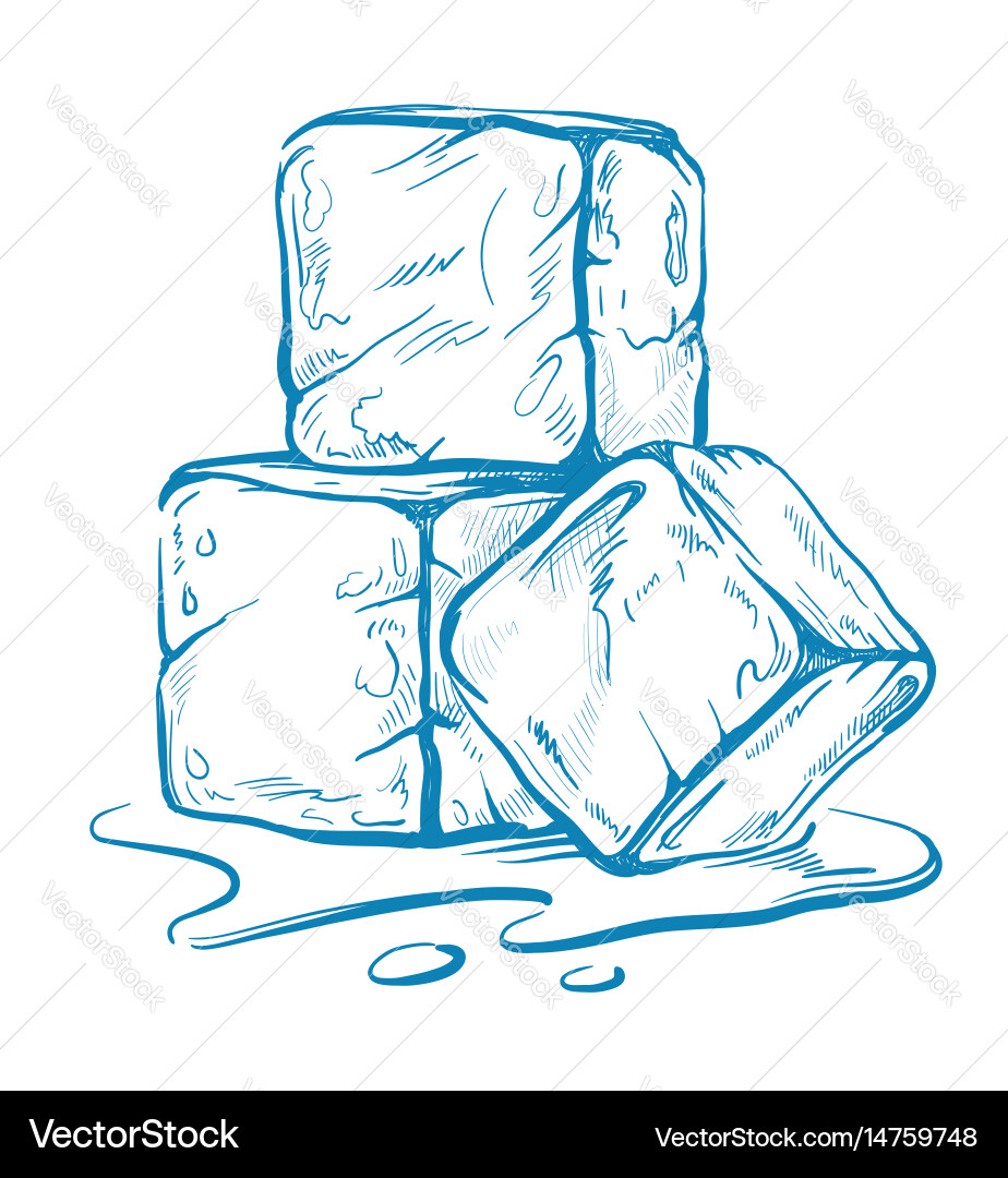 Ice Cube Sketch Vector Image
