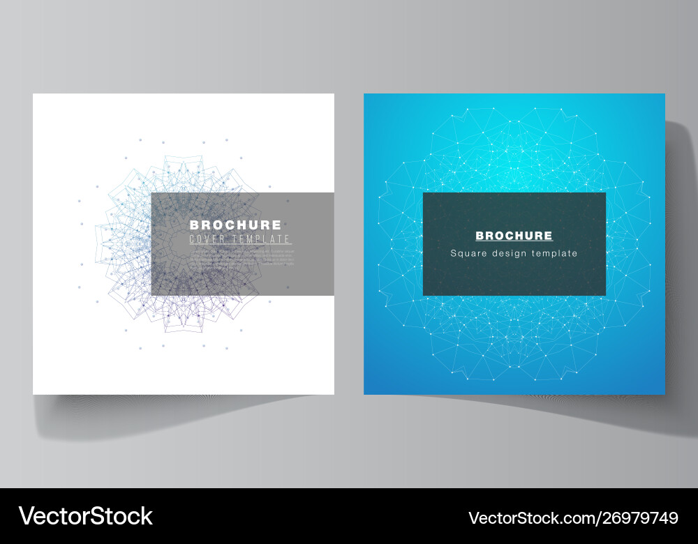 Minimal layout two square vector image
