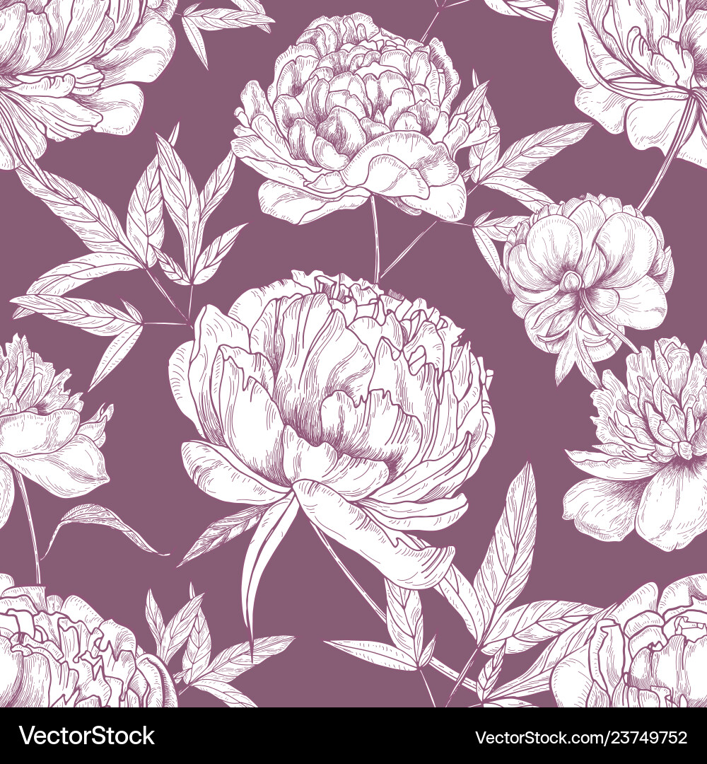 Elegant Peony Floral Pattern vector image