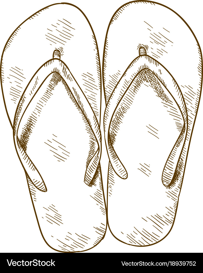 Engraving of flip flops Royalty Free Vector Image