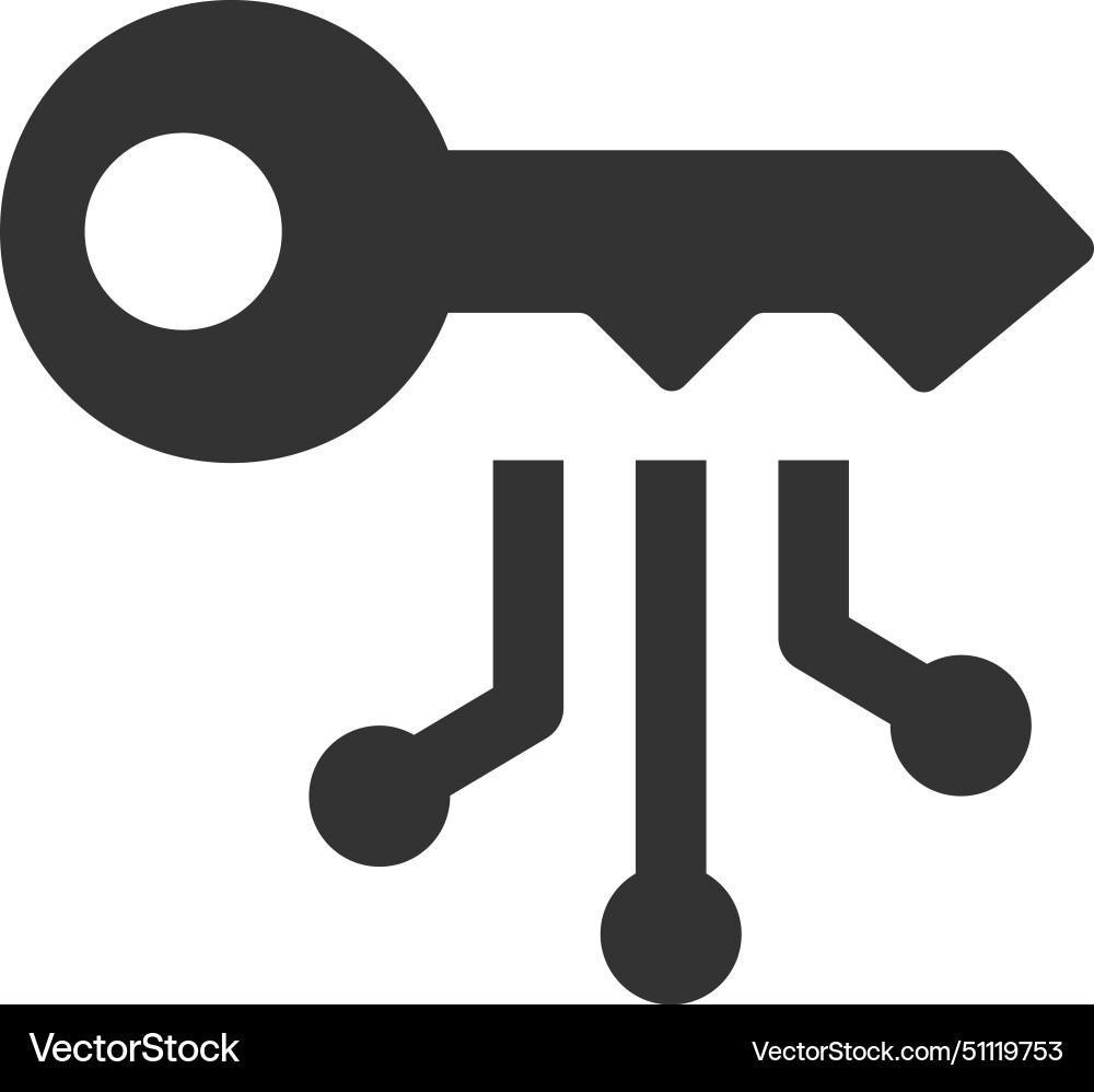 Digital Key Icon - Access & Security vector image