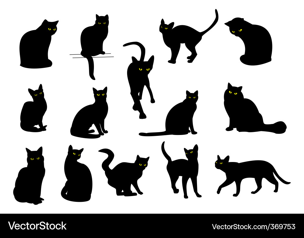 Schwarze Katzensilhouetten Vektorbild