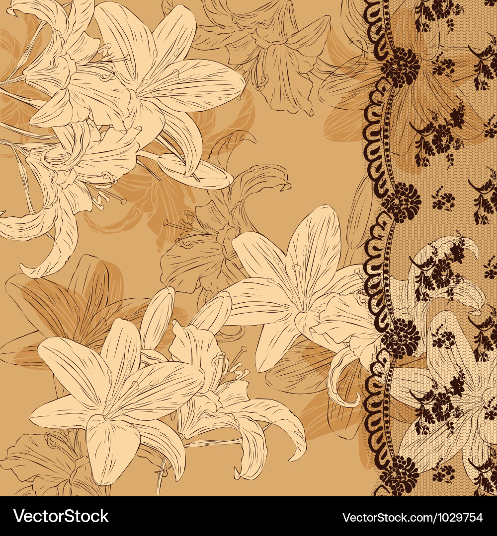 Floral background with lace Vector Image