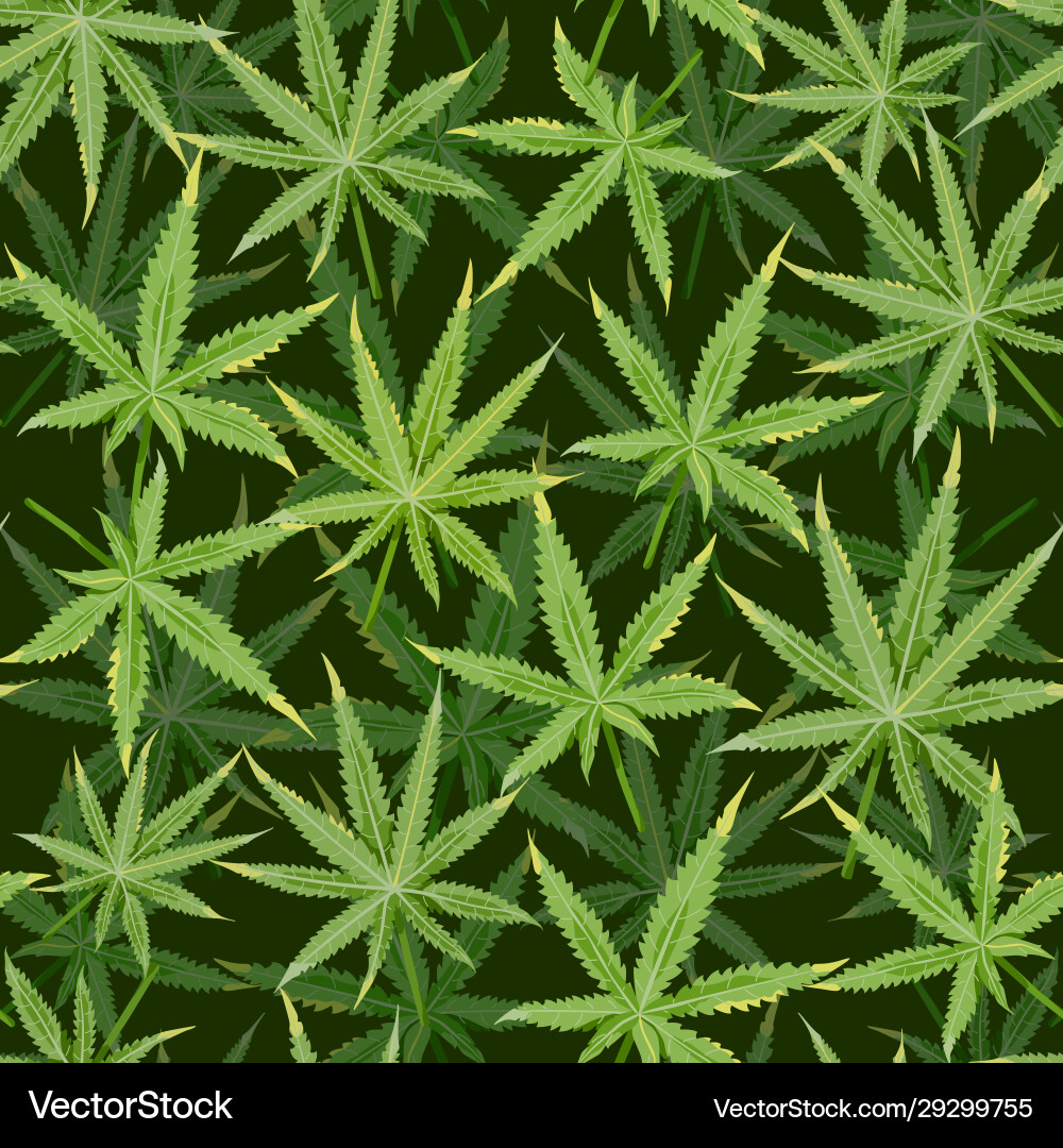 Cannabis Leaf Pattern - Dark Background Vector Image