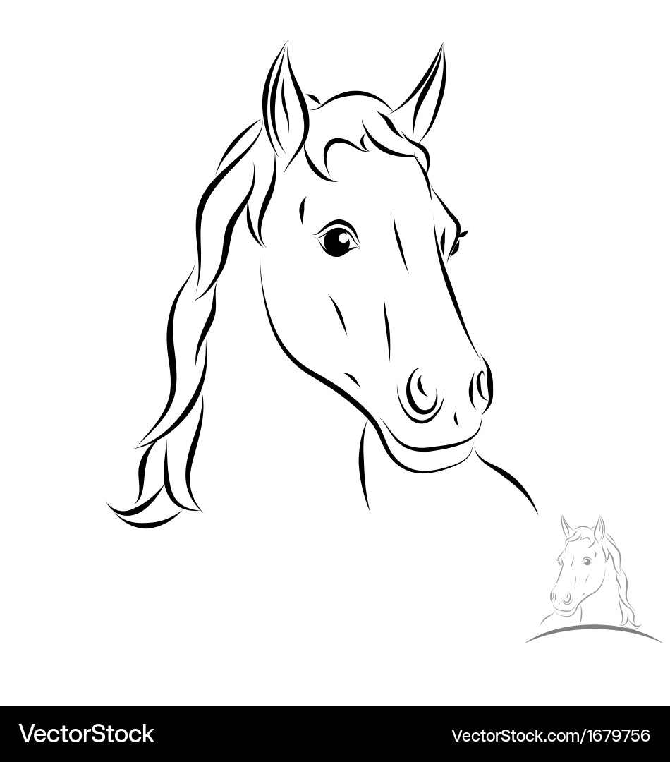 Stylized Horse Head Outline Vector Image