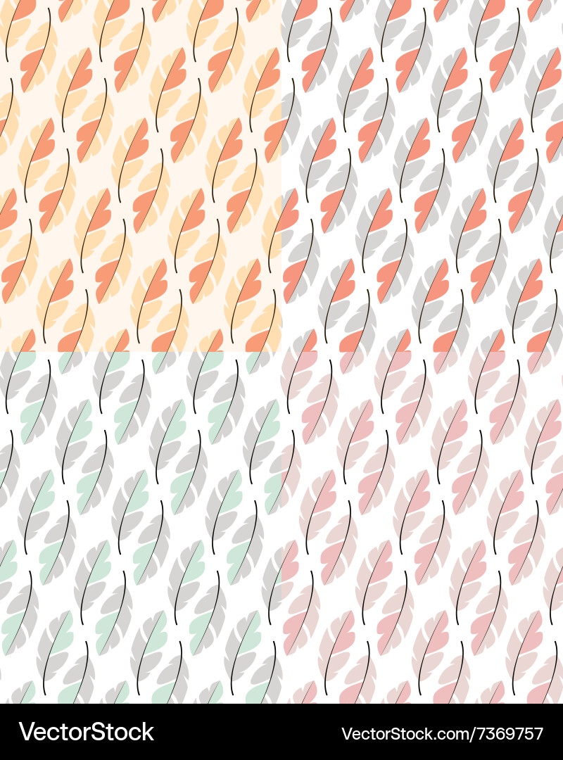 Bohemian Feather Pattern vector image