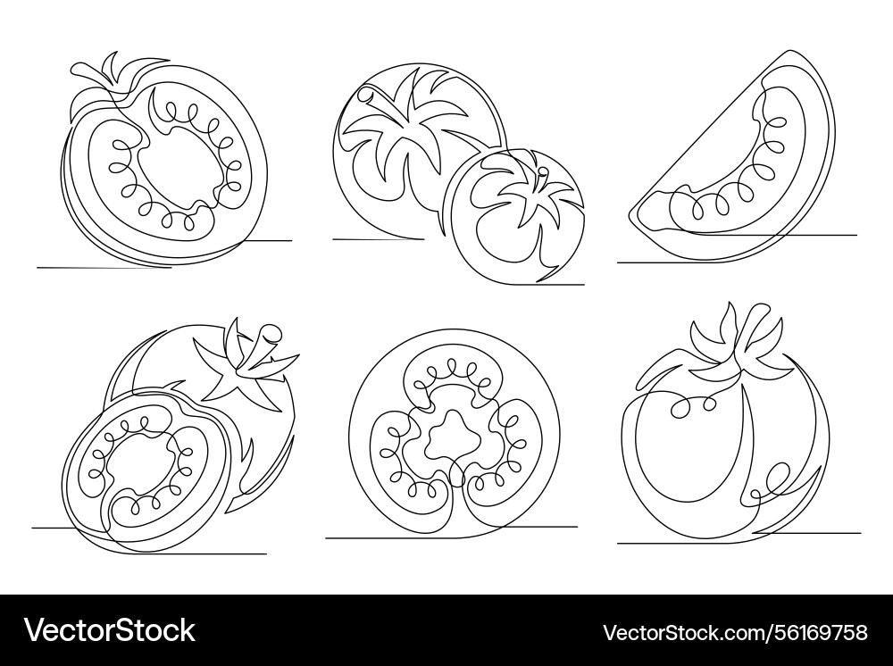 Tomato continuous one line drawing set Vector Image