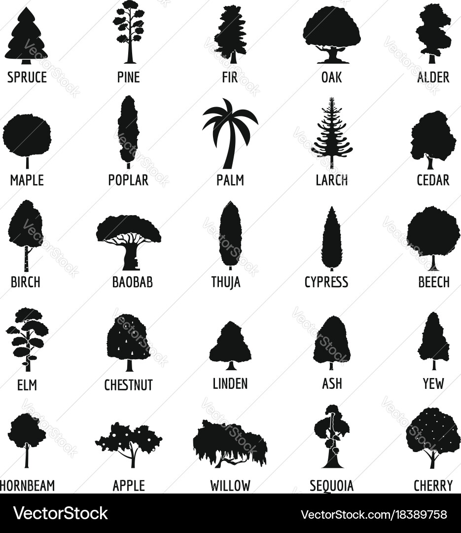 Tree icons set simple style vector image