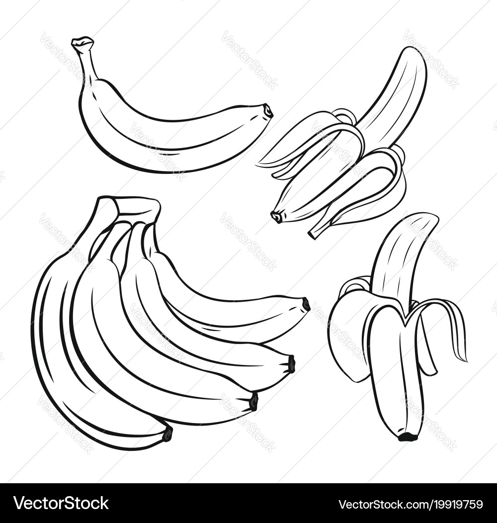 Black Outline Bananas vector image