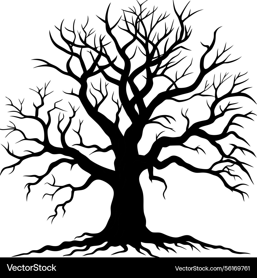 Bare tree for design use Bare tree for design use Vector Image