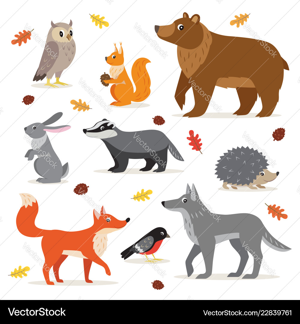 Forest Woodland Animals vector image