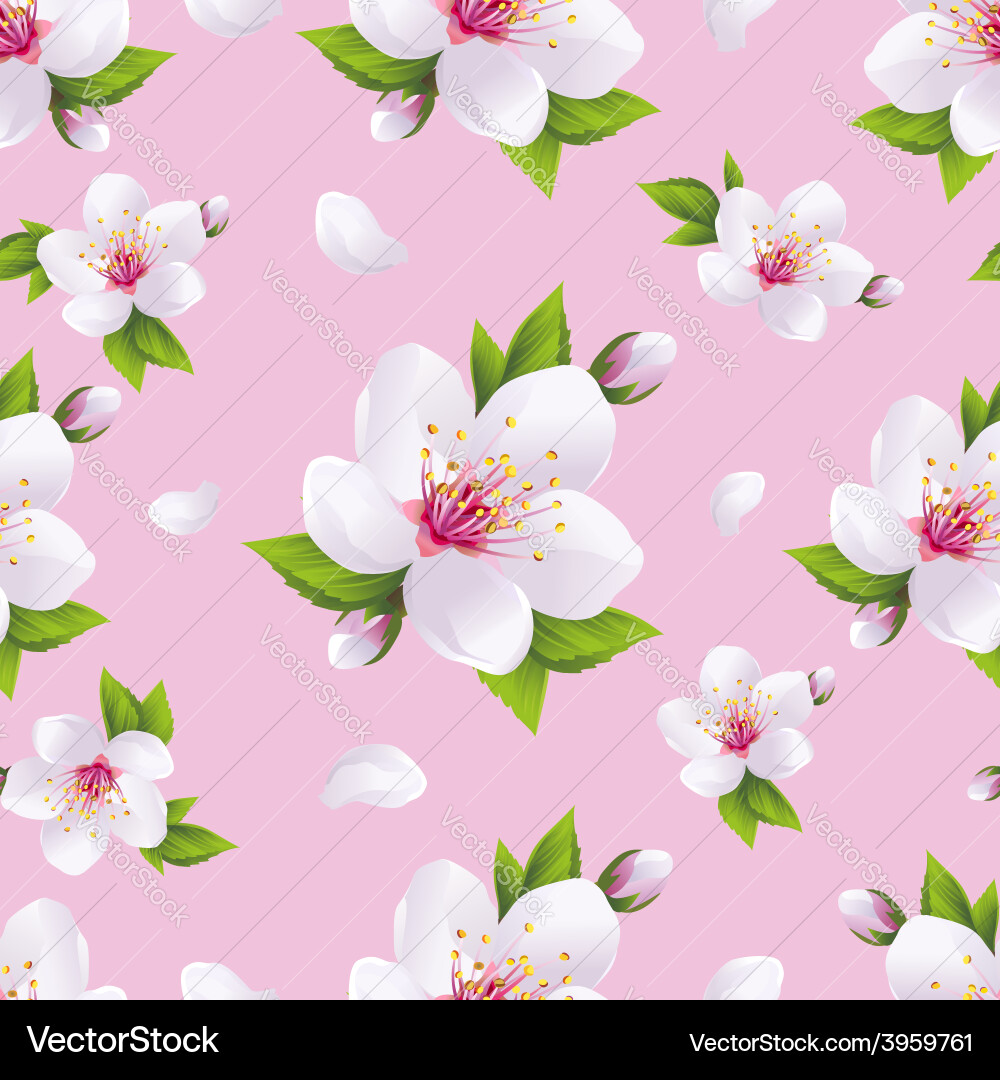 Sakura Blossom Nahtlose Muster Vektorbild