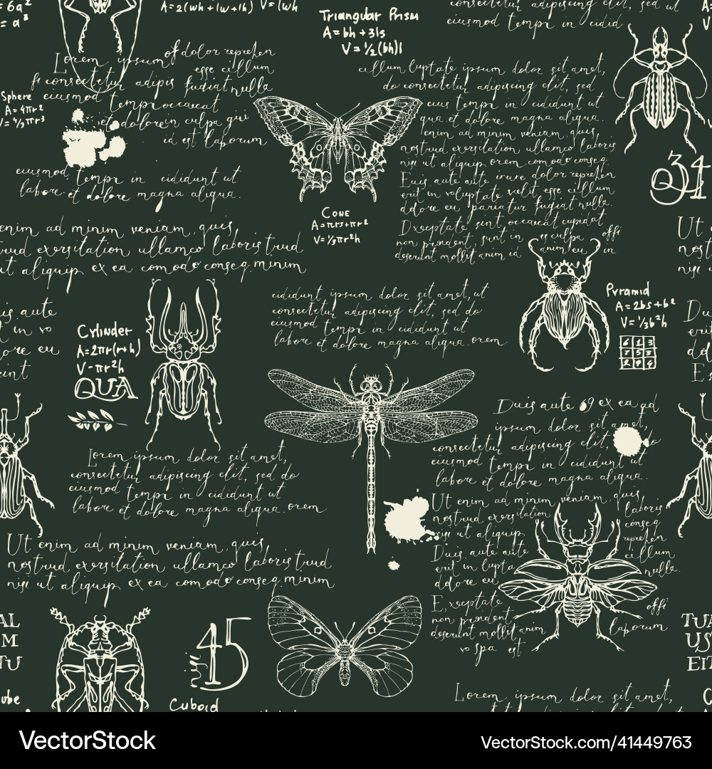 Seamless pattern with insects and lorem ipsum Seamless pattern with insects and lorem ipsum vector image