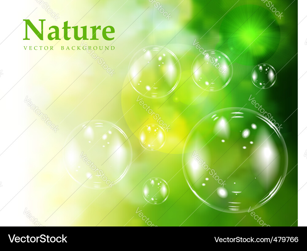 Colorful Soap Bubbles Royalty Free Vector Image