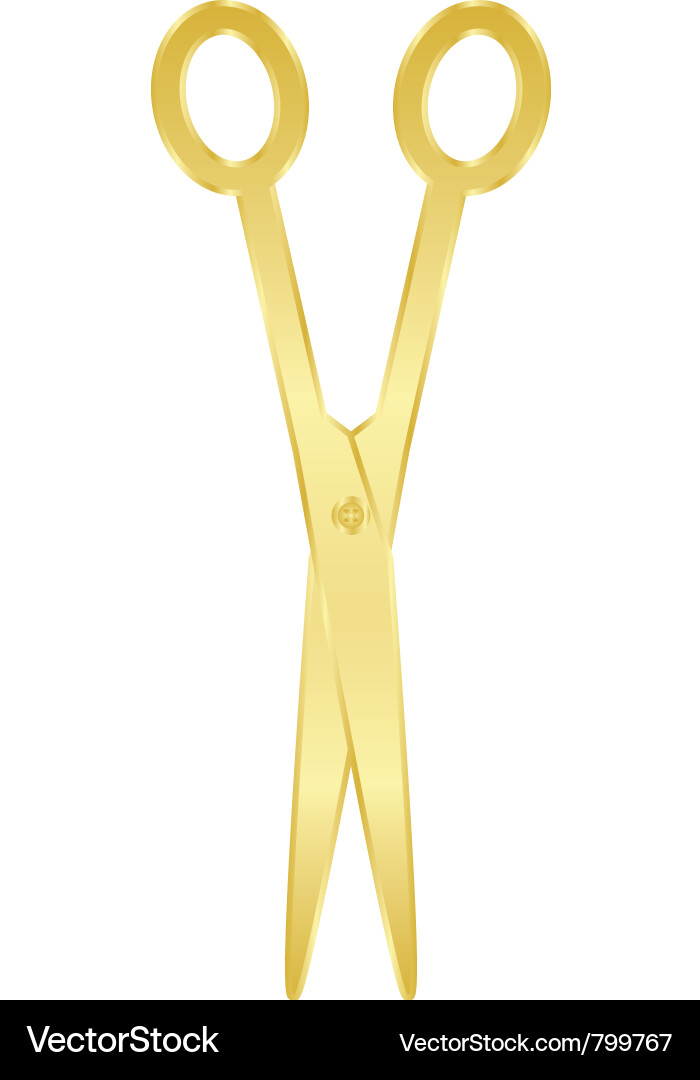 Golden Scissors Set Vector Image