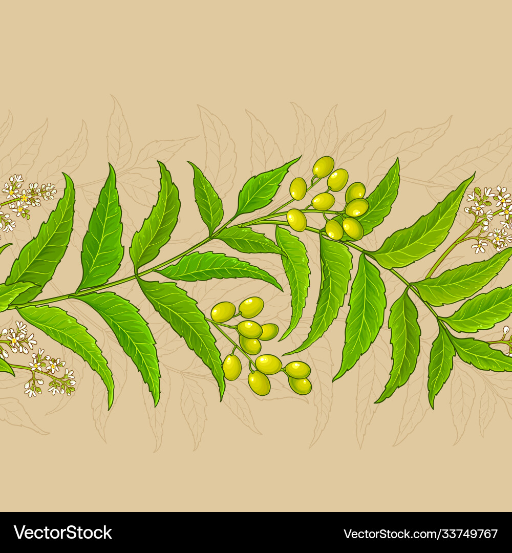 Neem branches pattern on color background Vector Image