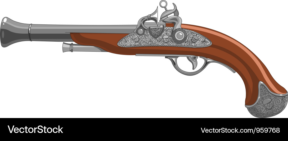 Pirate gun Royalty Free Vector Image - VectorStock