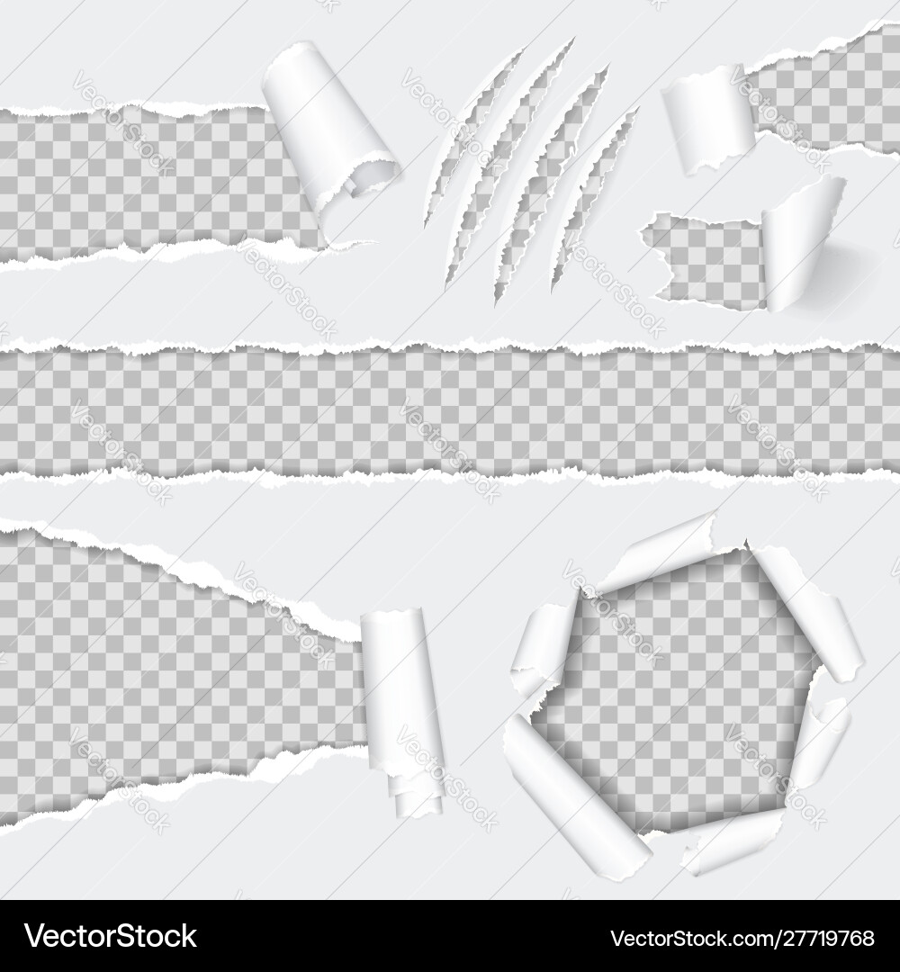 Realistic seamless torn paper and scratch claws Vector Image