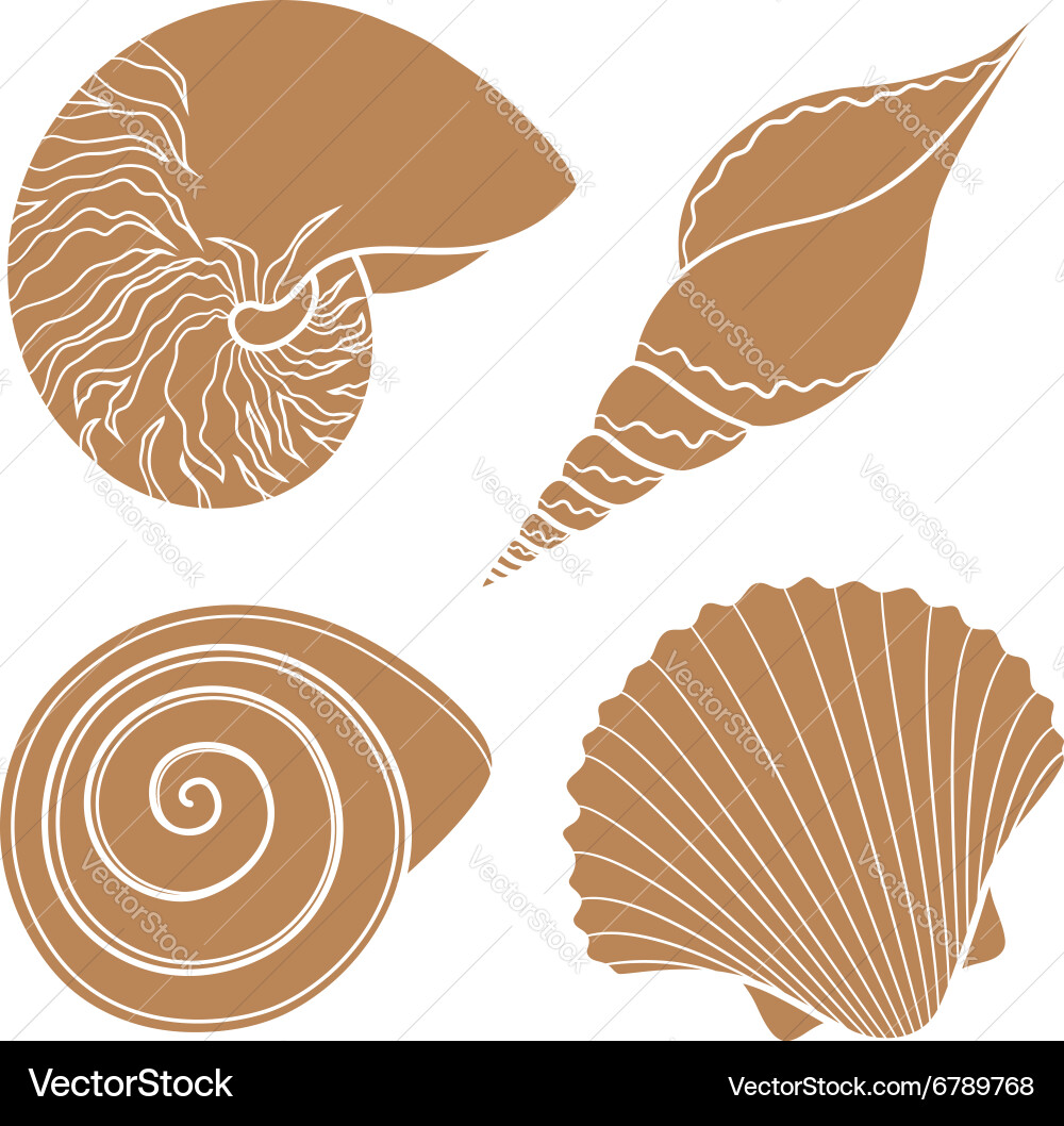 Sea Shell Collection - Isolated Objects vector image