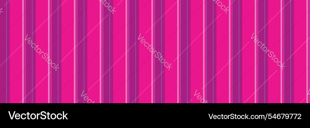 Rirthday lines stripe pattern purchase texture vector image