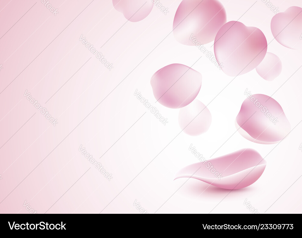 Rosenblätter auf rosa Hintergrund Vektorbild