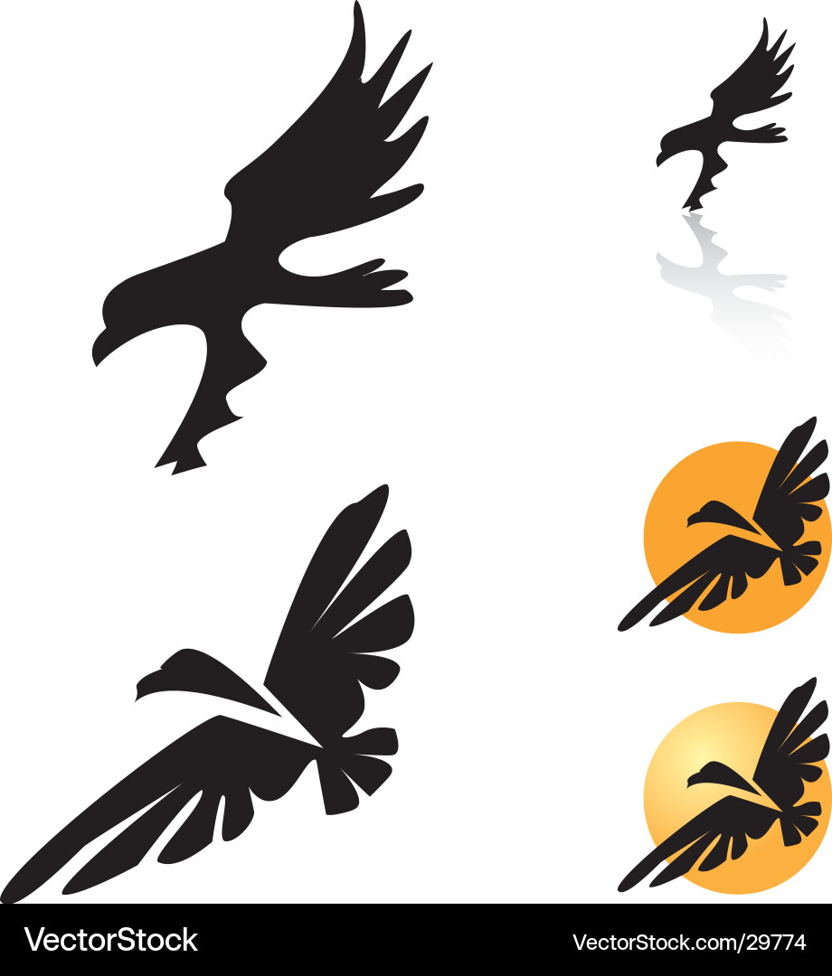 Andean Condor in Flight Vector Image