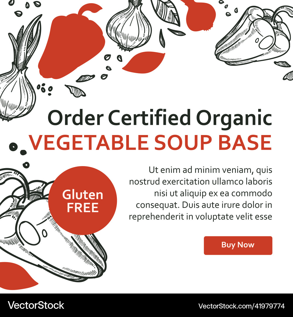 Bestellen Sie zertifizierte organische pflanzliche Suppe Basis Web Bestellen Sie zertifizierte organische pflanzliche Suppe Basis Web vektorbild
