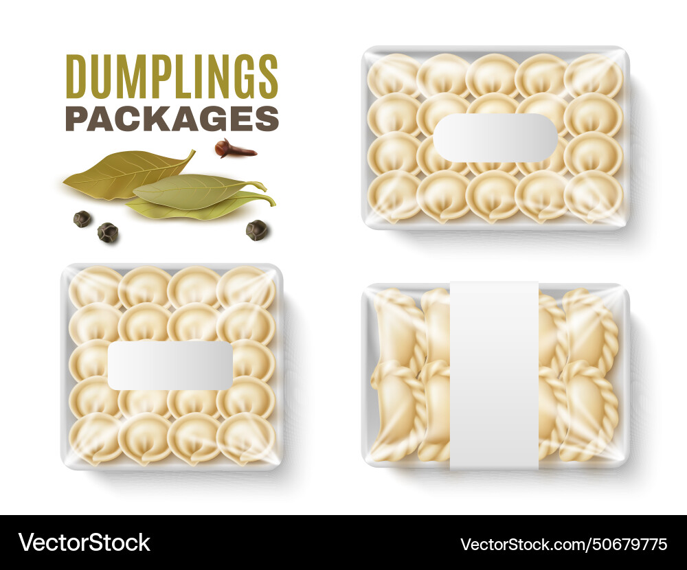 Packages of dumplings boxes with transparent Packages of dumplings boxes with transparent vector image