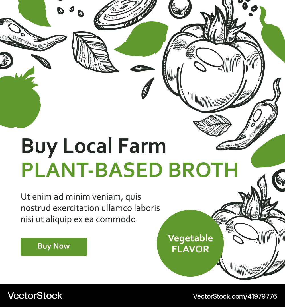 Kaufen Sie lokale Farm Pflanze basiert Broth Gemüse Geschmack Kaufen Sie lokale Farm Pflanze basiert Broth Gemüse Geschmack vektorbild