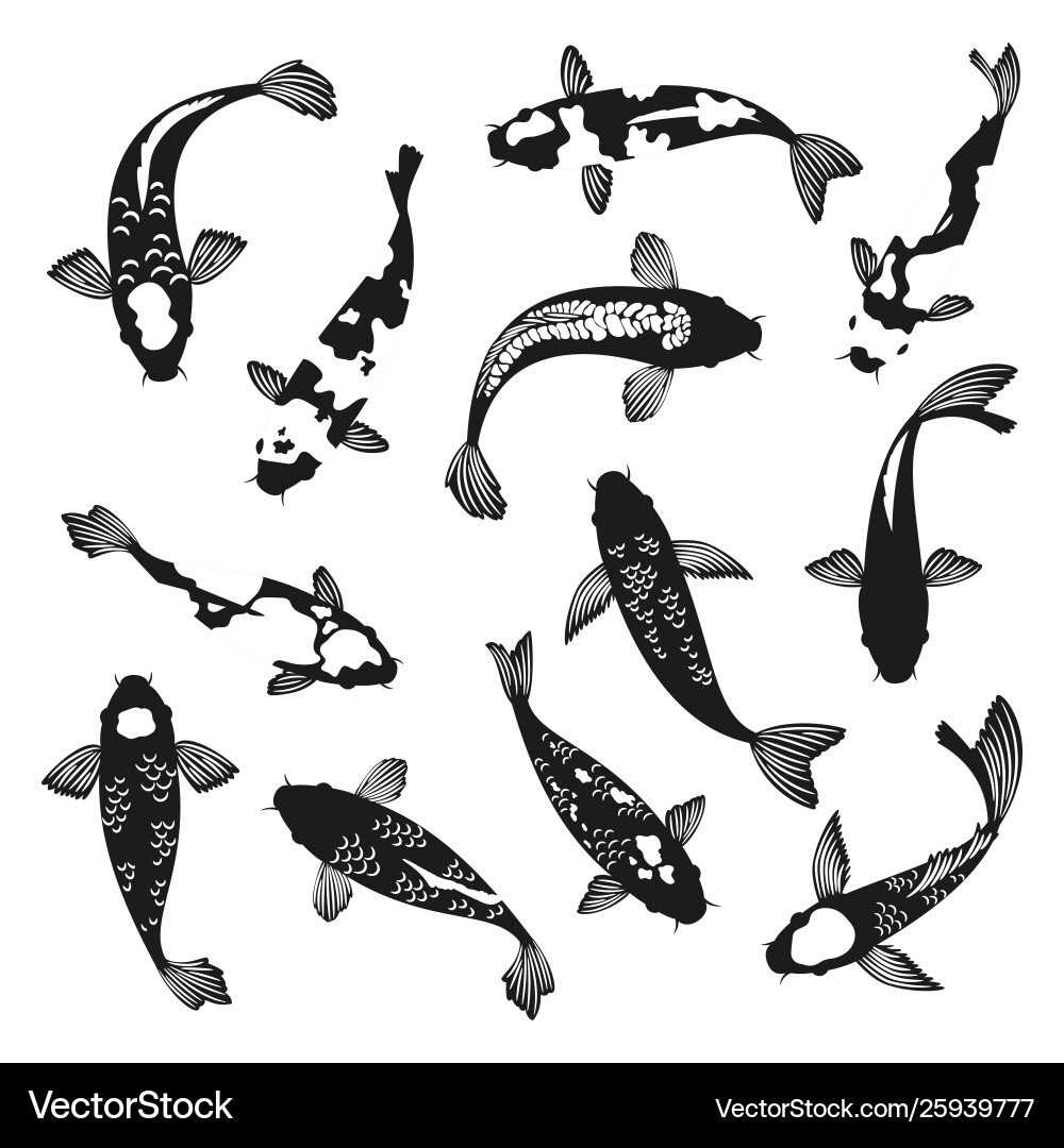 Koi fish silhouettes vector image